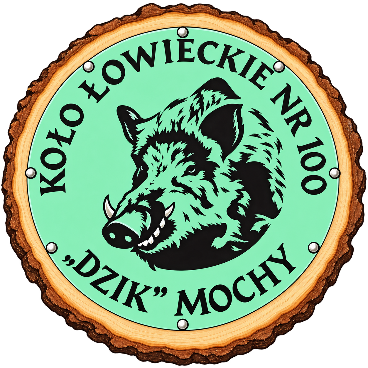 KŁ nr 100 Dzik
