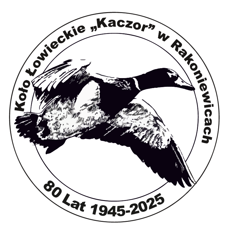 KŁ nr 37 Kaczor