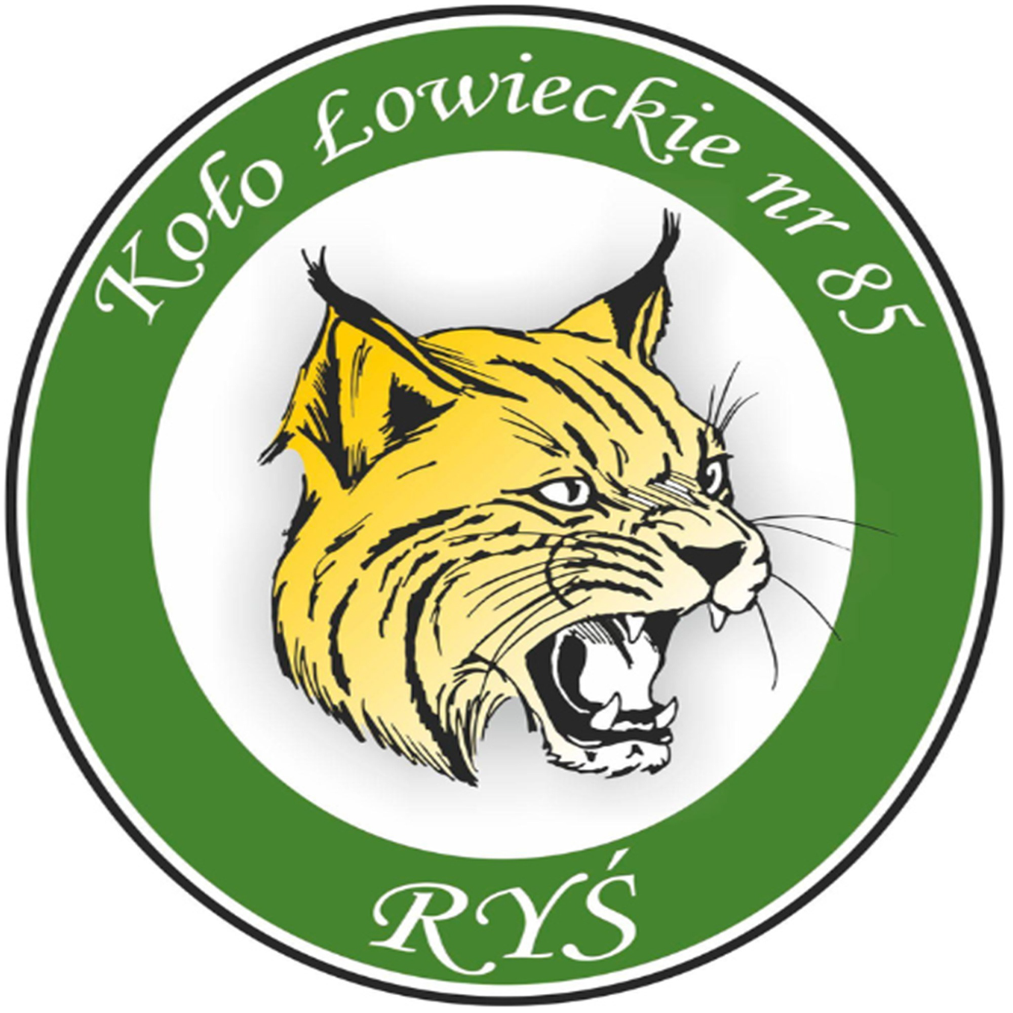 KŁ nr 85 Ryś