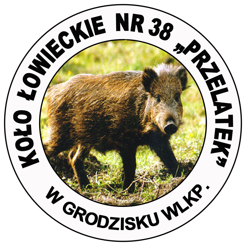 KŁ nr 38 Przelatek