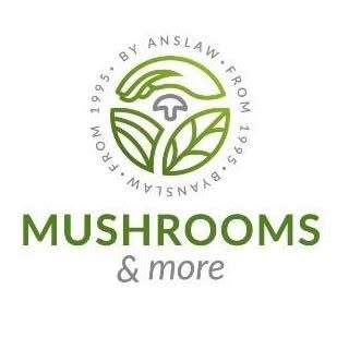 ANSŁAW – Mushrooms and more